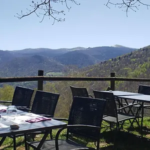 https://auberge-des-le-chambon-sur-lignon.hotels-rhonealpes.com